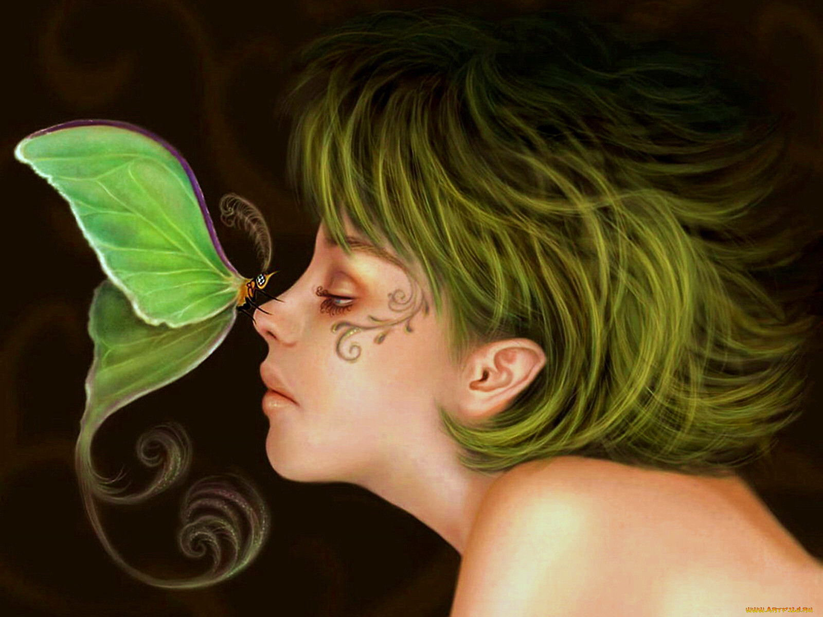 leaf, messenger, , 